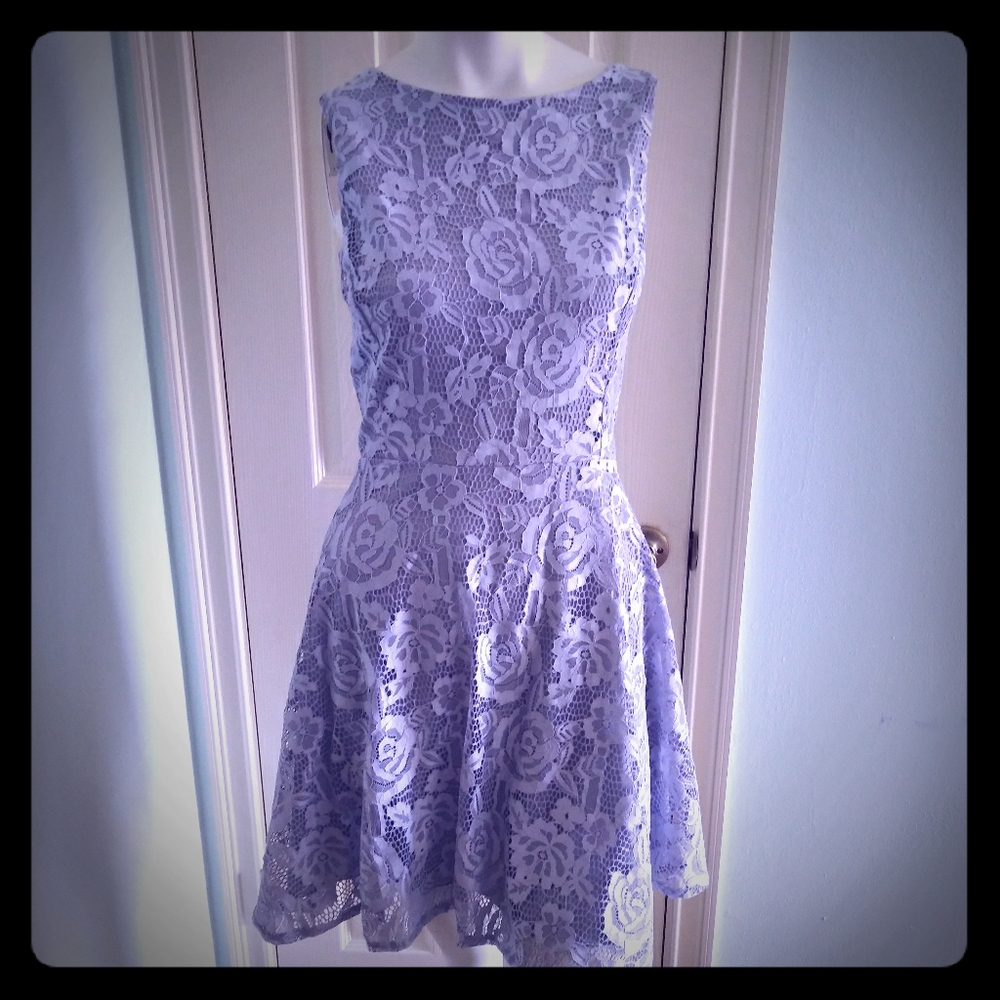 Speechless Lace Skater Dress